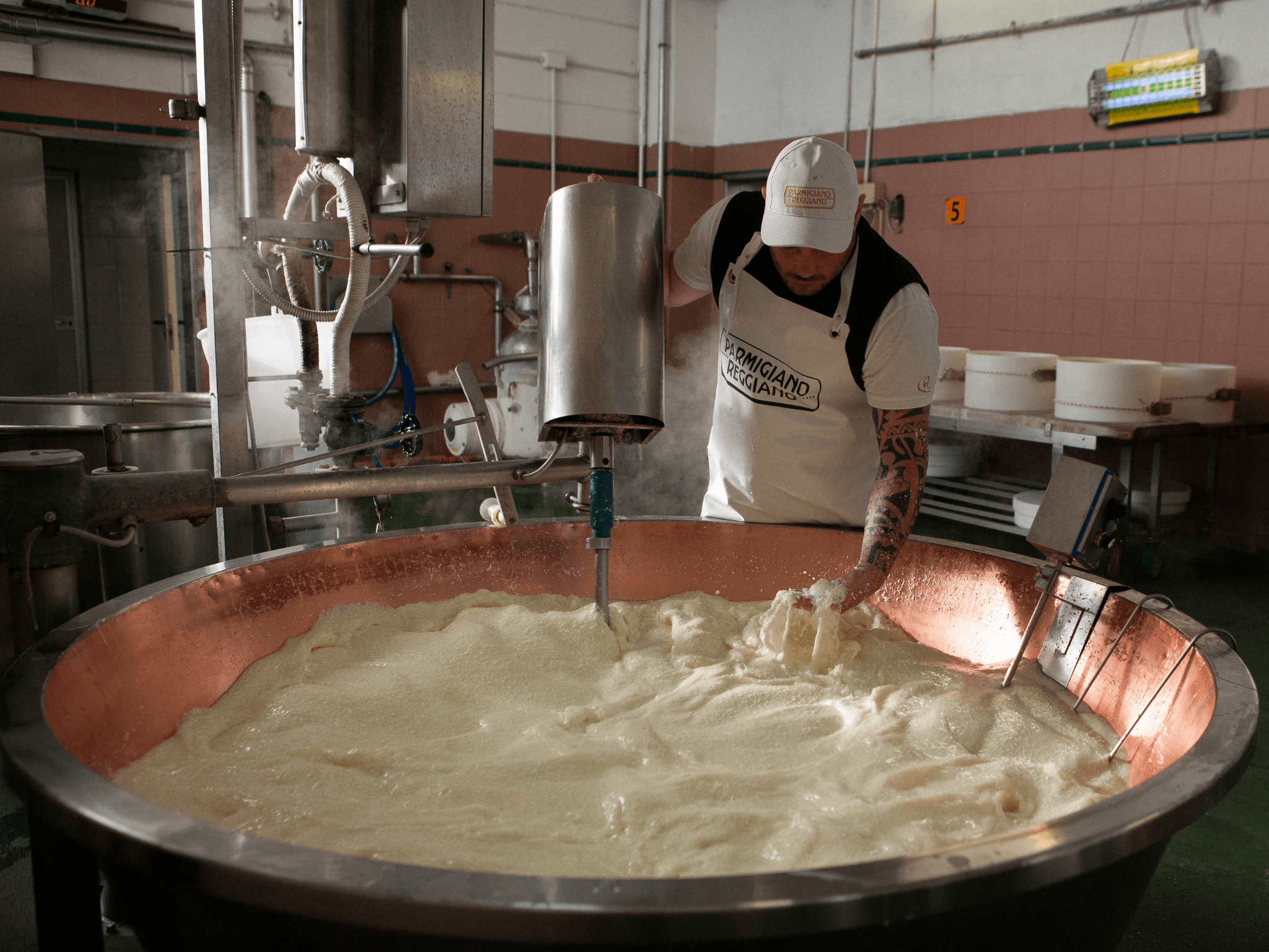 Parmesan Cheese Tour & Tasting in Modena - photo 2