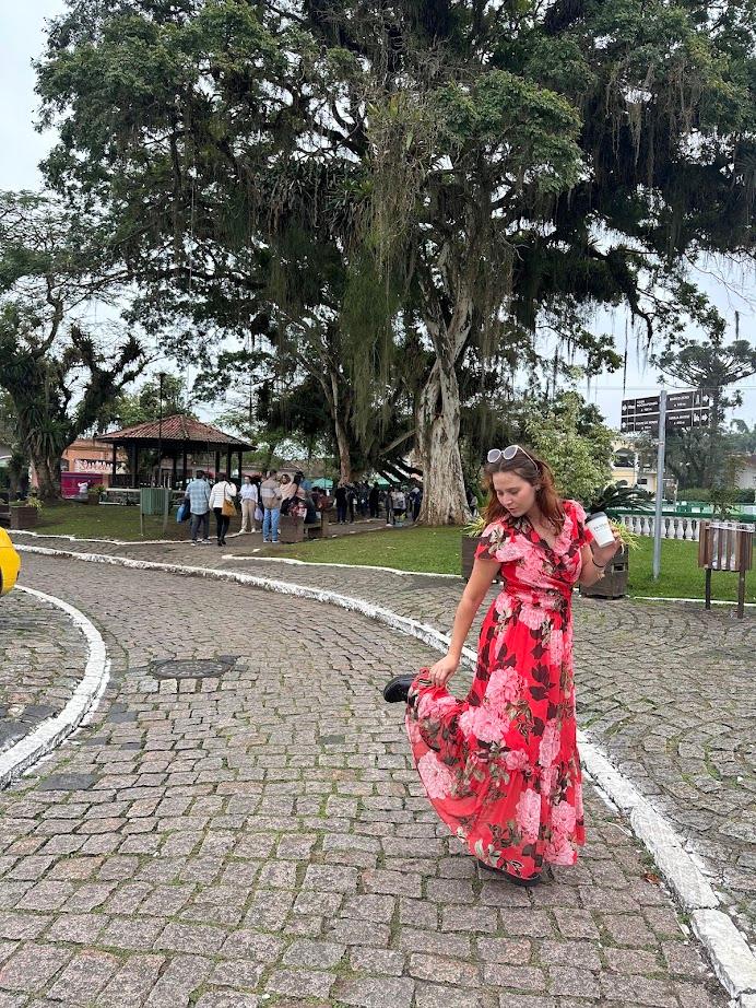 Curitiba to Morretes Train Tour - photo 5