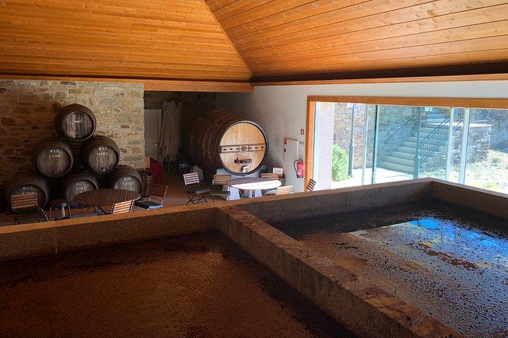 Private Douro Valley Tour from Porto - photo 2