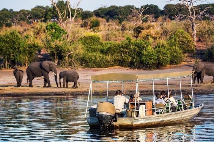 Chobe Full Day Trip (From Victoria Falls) - photo 4