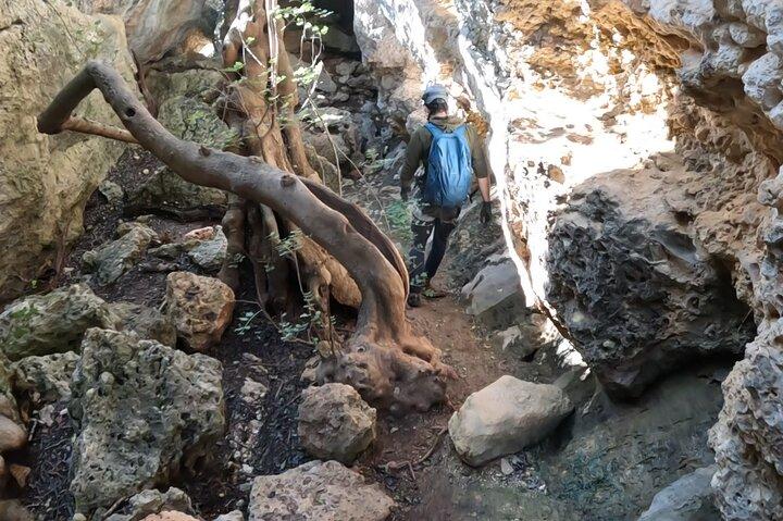 Full Day Rock Climb Adventure Trail with Lunch - photo 4