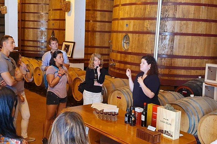From Porto: Douro Valley: Wine Tour with Lunch Tastings & River Cruise - photo 4