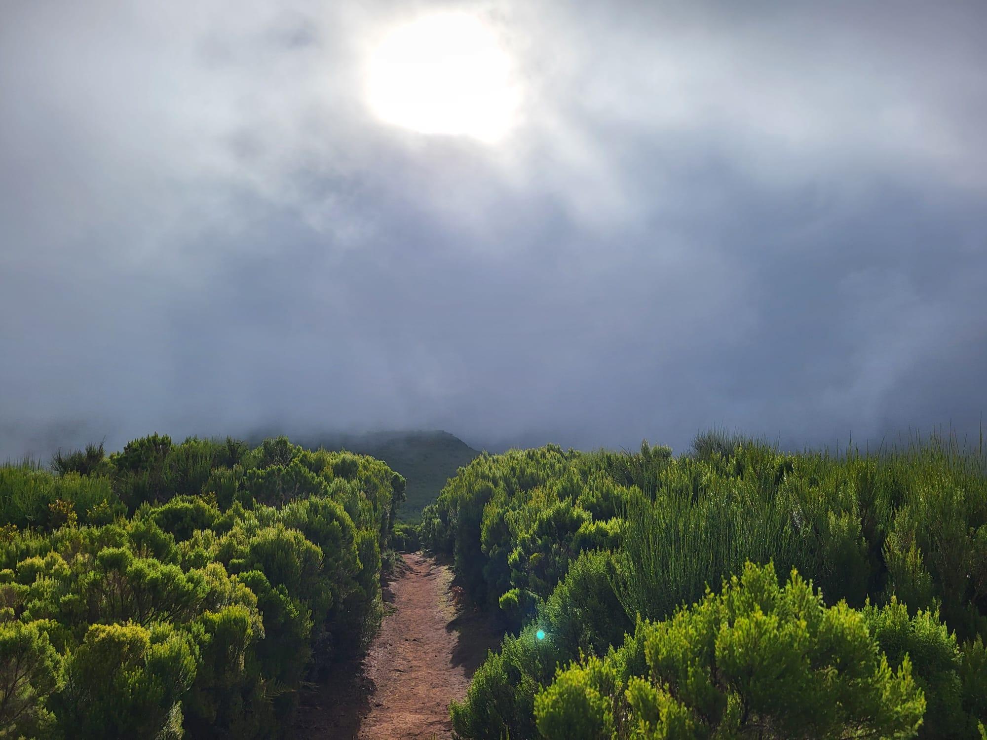 The Mystical Hike - photo 4