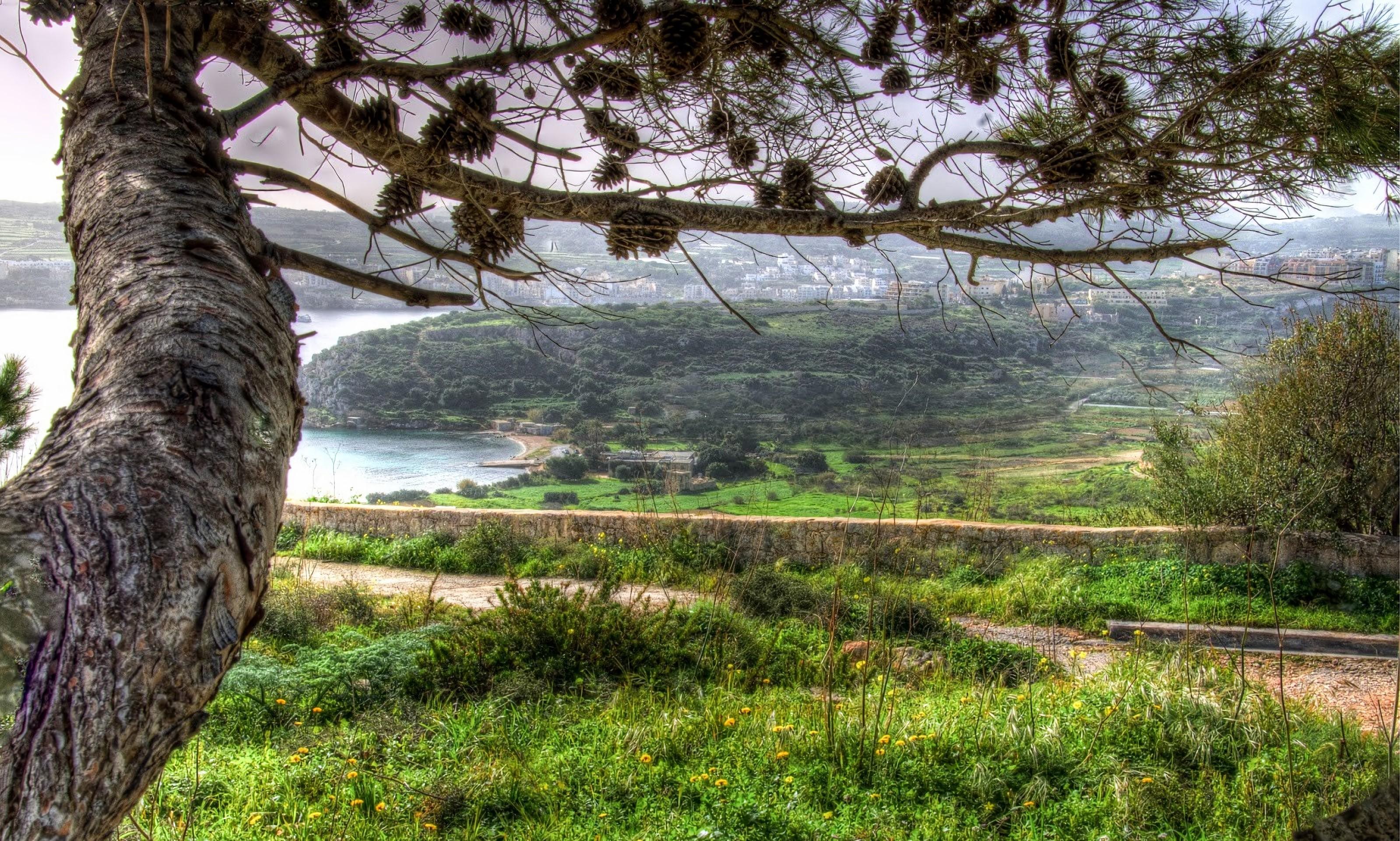 Mistra Valley & Selmun Nature Walking Tour (Private Tour) - cover photo