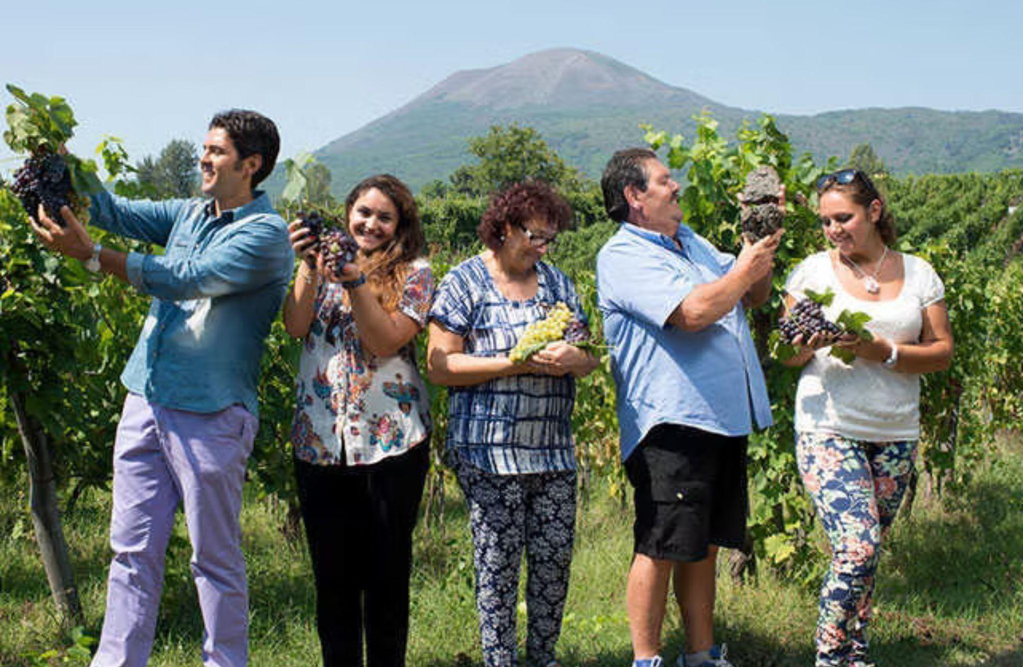Winery Tour with Organic Wine Tasting & Lunch near Pompeii - photo 2