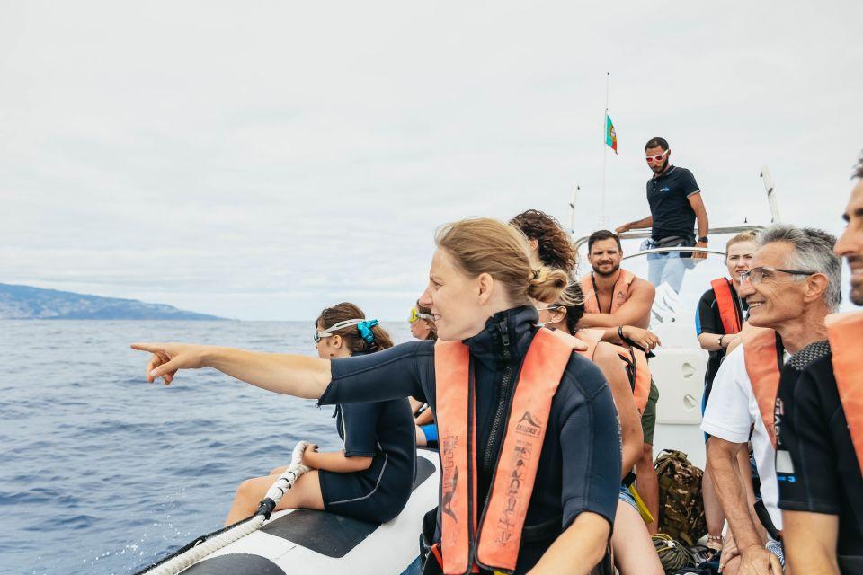 Dolphins/Whales Experience - cover photo