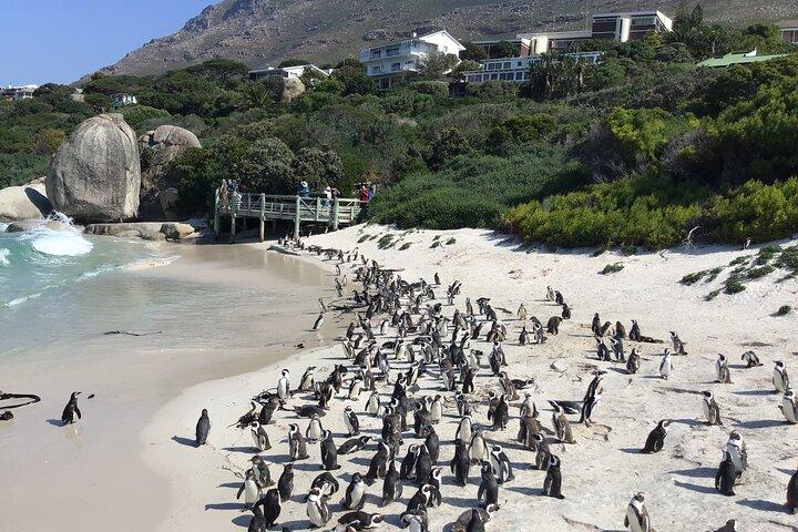 Full Day Cape Peninsula and Apartheid History Experience - photo 4