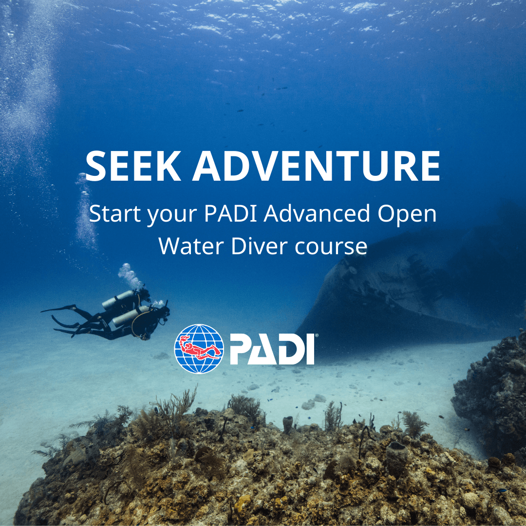 PADI Advanced Course (5 dives) - cover photo