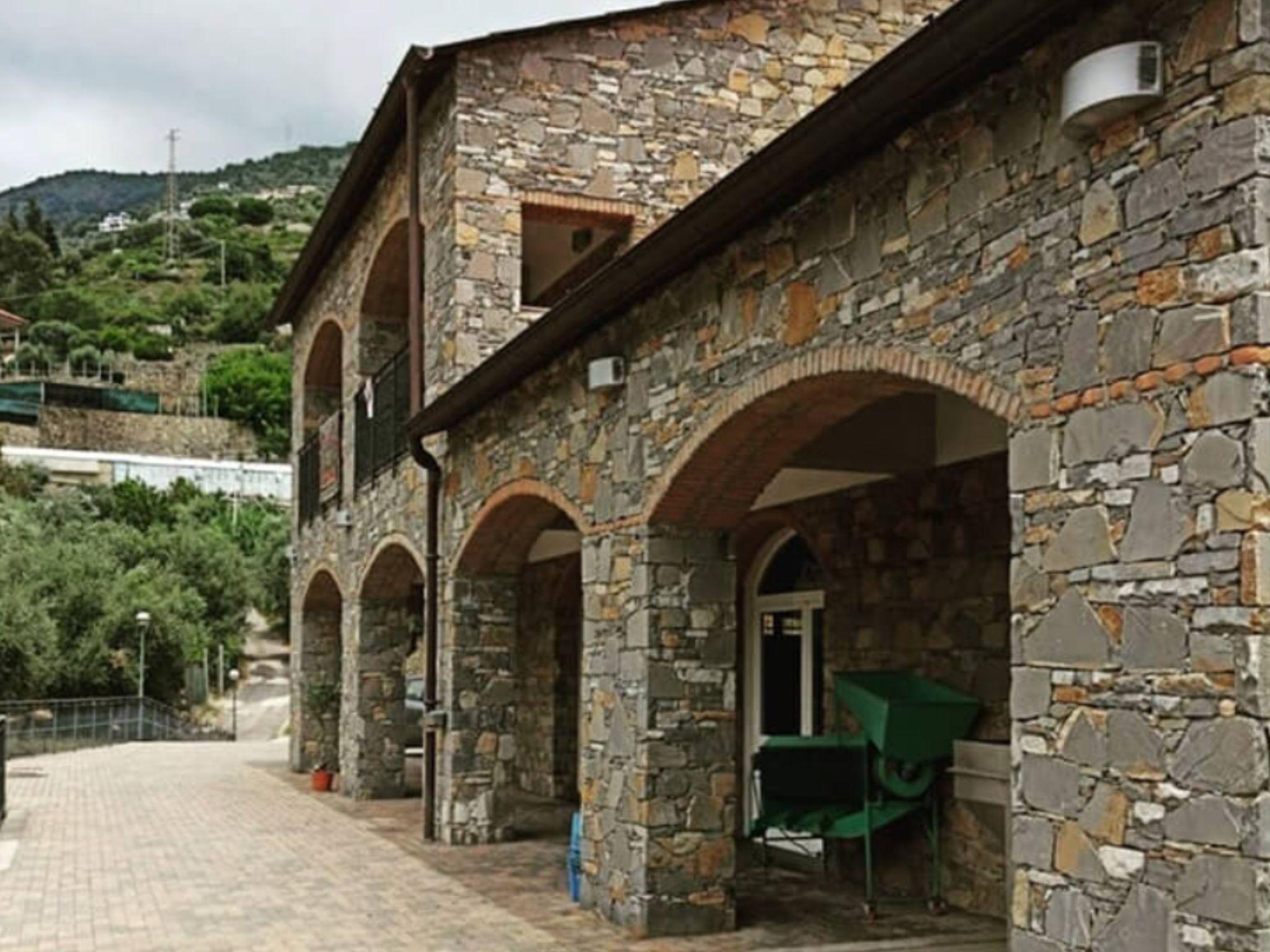 Olive Mill Visit & Guided Tasting in Taggia - photo 4