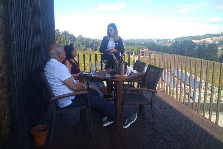 Vinho Verde Experience - Half day - from Porto - photo 3