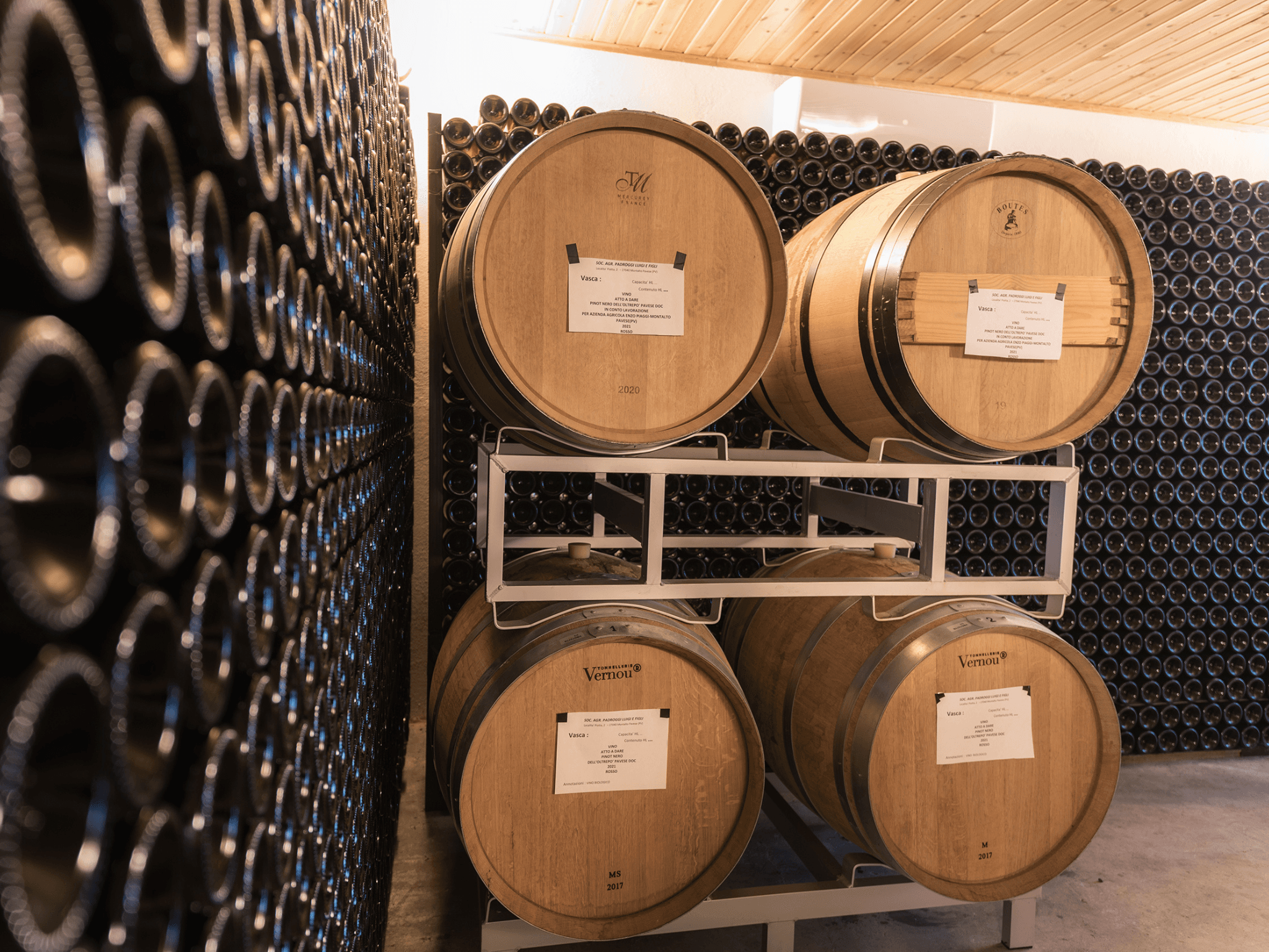Organic Winery Visit & Wine Tasting with Food in Pavia - photo 3