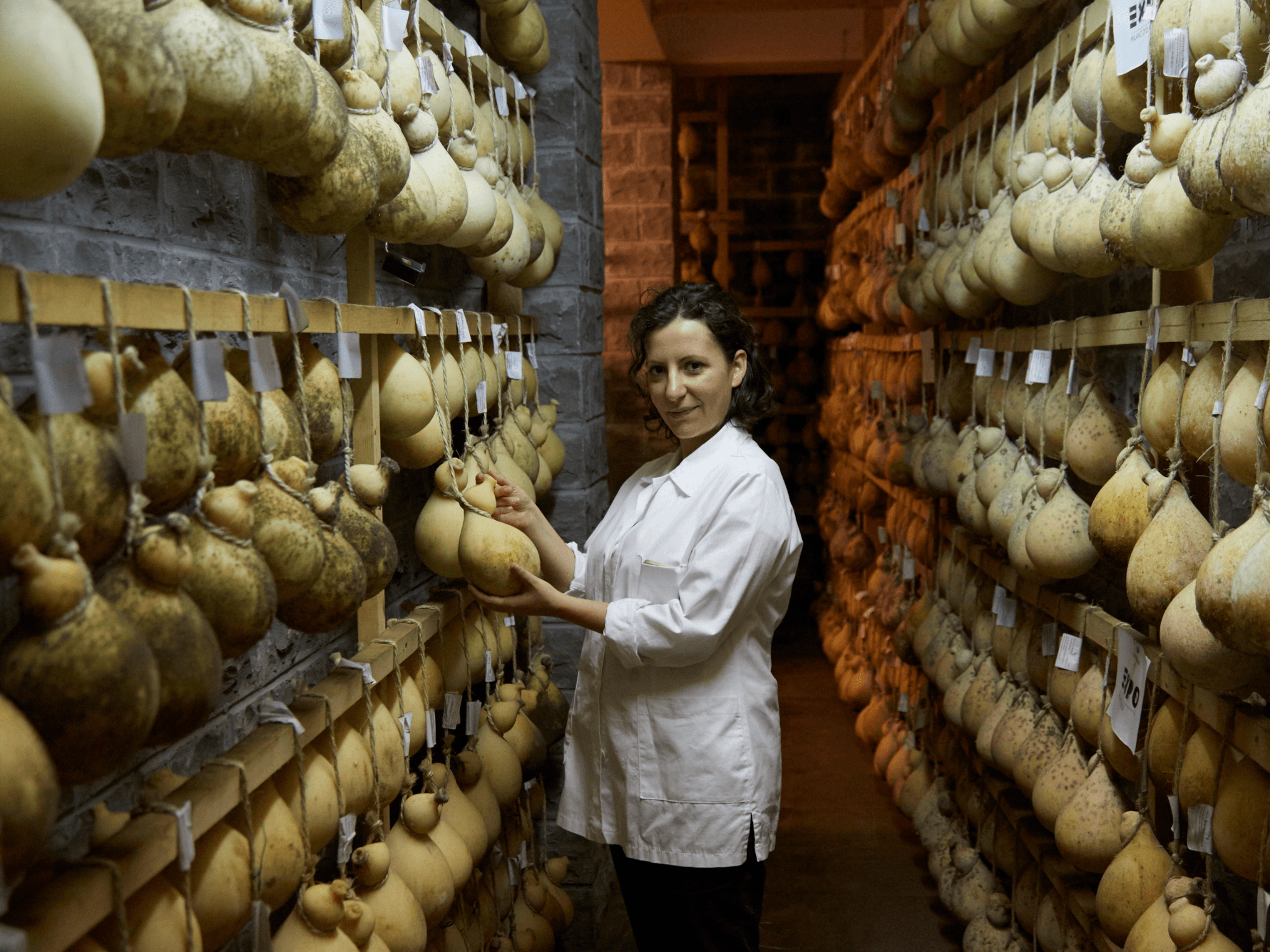 Traditional Cheese Factory Visit with Tasting near Isernia - cover photo