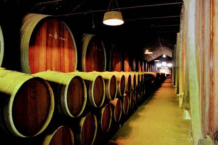 Lisbon Surf & Wine - photo 4
