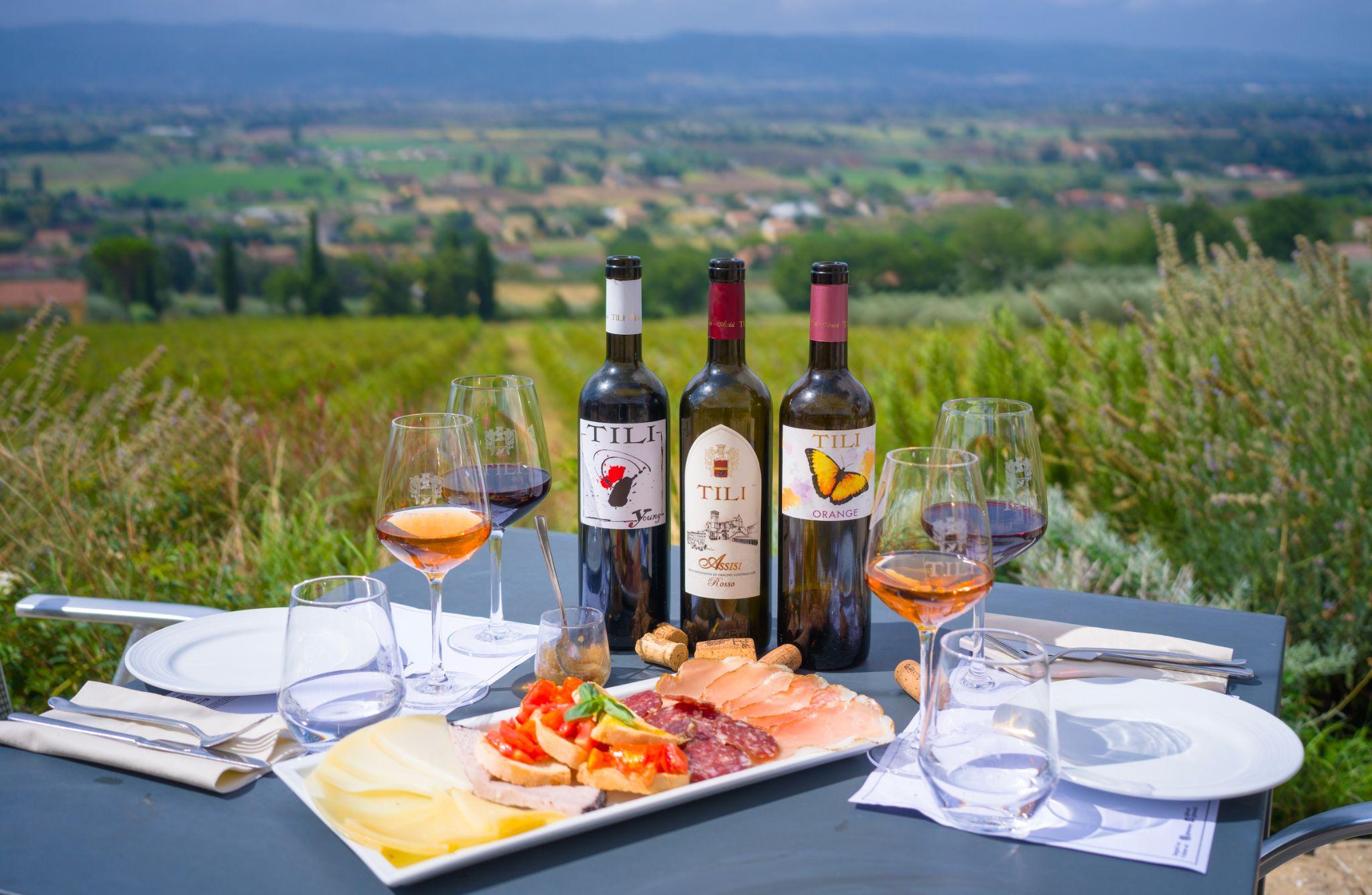 Organic Wine Tasting, Local Food & Vineyard Walk near Assisi - photo 2