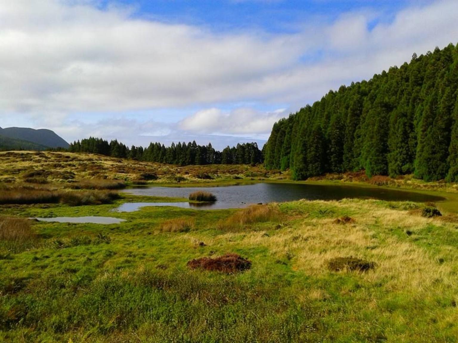 Terceira island day tour - photo 2