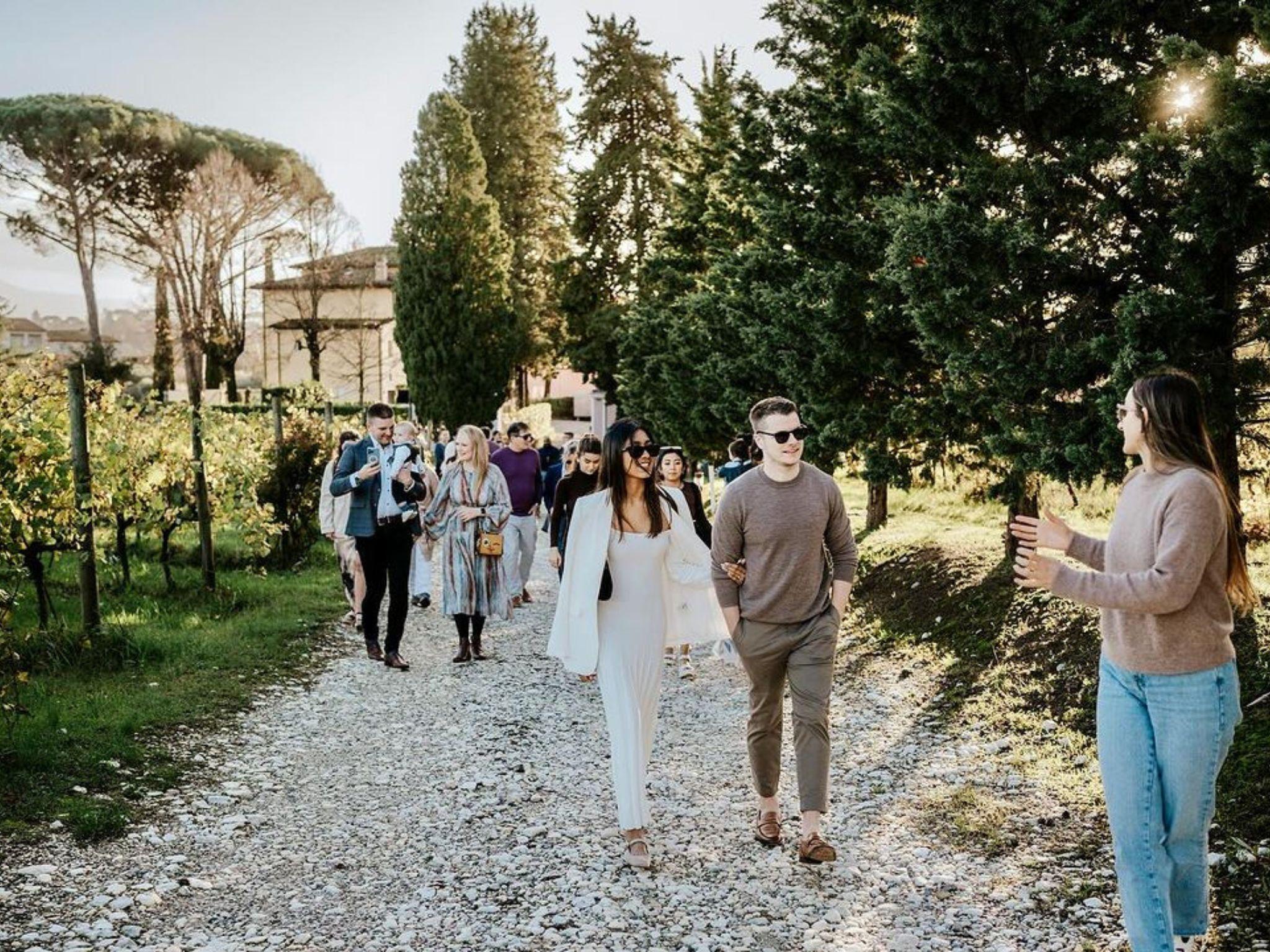 Organic and Biodynamic Winery Tour and Tasting in Lucca - cover photo