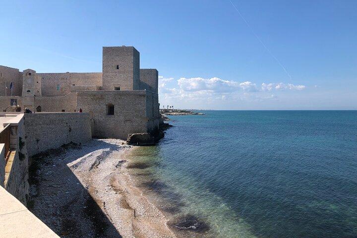 Private Bari and North Puglia Top Towns VIP Tour with Lunch - cover photo