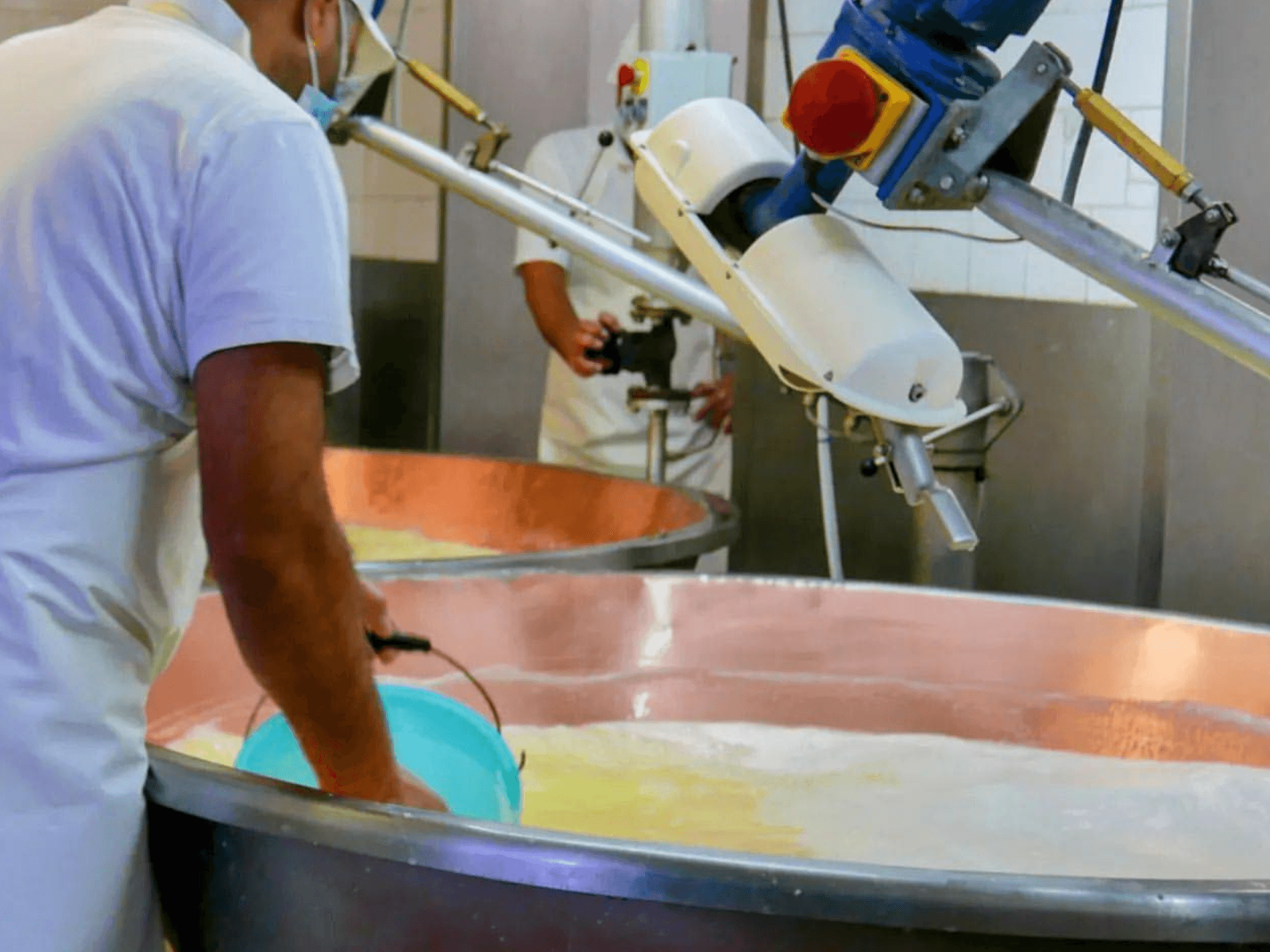 Parmesan Wheels near Parma: Tasting & Factory Tour - photo 4