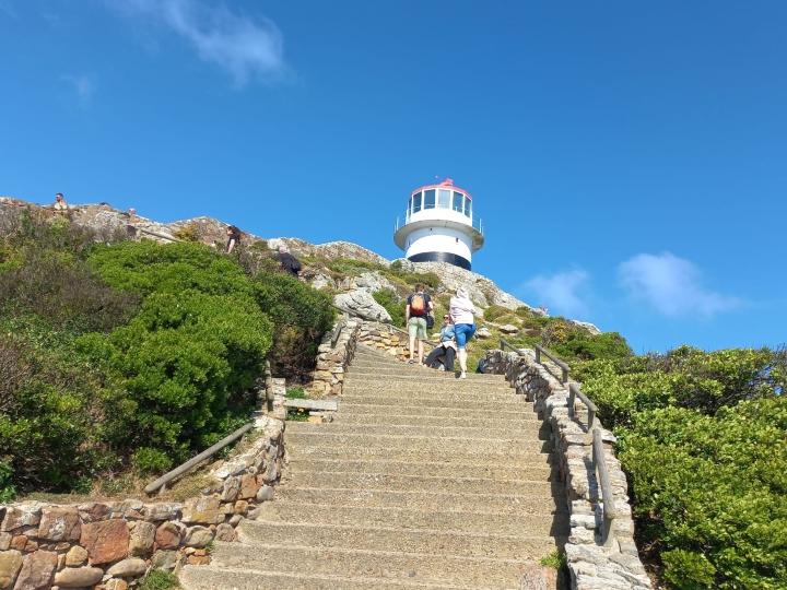 Table Mountain and Cape Point Tour - photo 3