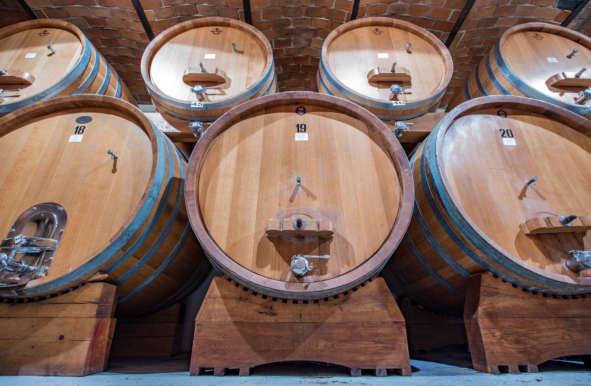 Wine Tasting with Snacks in Neive, the heart of Langhe - photo 5