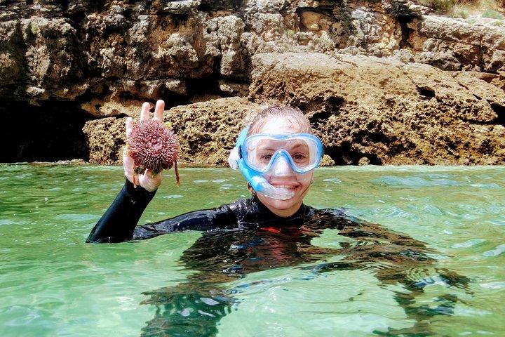 Arrábida Snorkeling Adventure with Transfer from Lisbon - cover photo