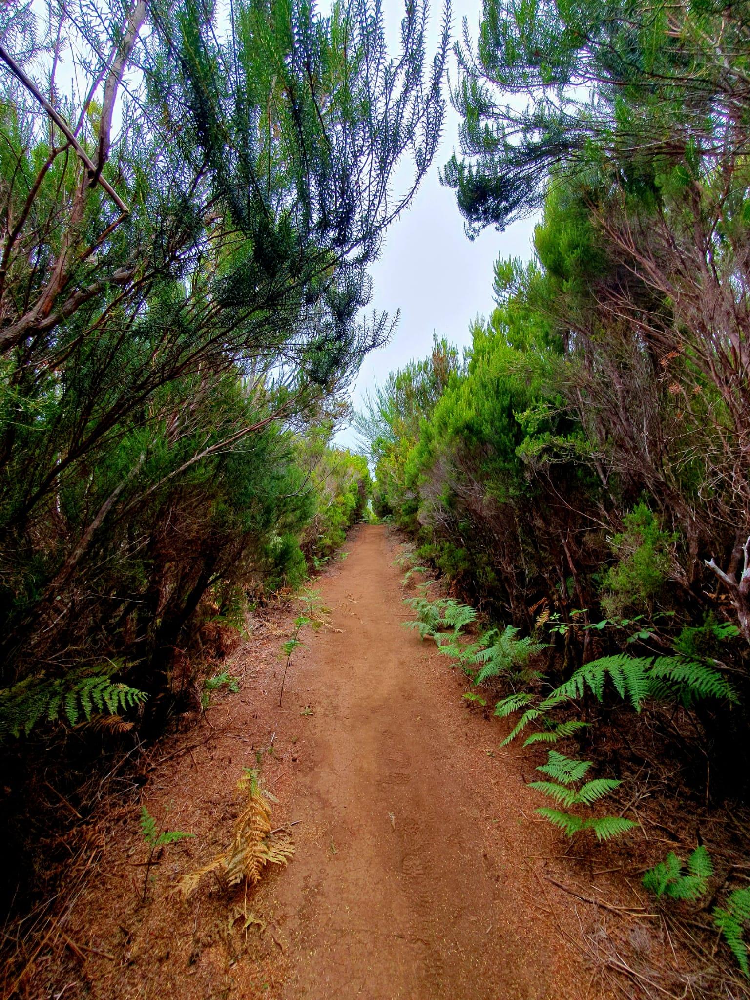 The Mystical Hike - cover photo