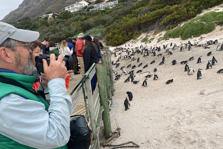 Table Mountain Boulder's Beach and Cape Point - photo 2