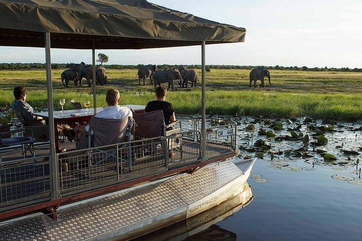 Chobe Full Day Trip (From Victoria Falls) - photo 5