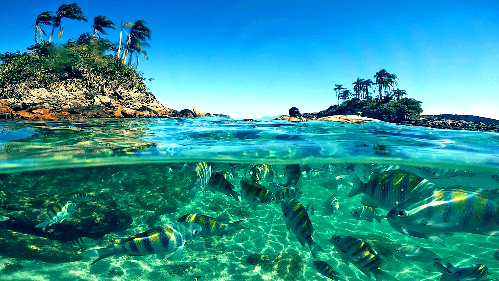 Angra dos Reis Private Speedboat Beach Adventure - Paradise Islands - photo 3