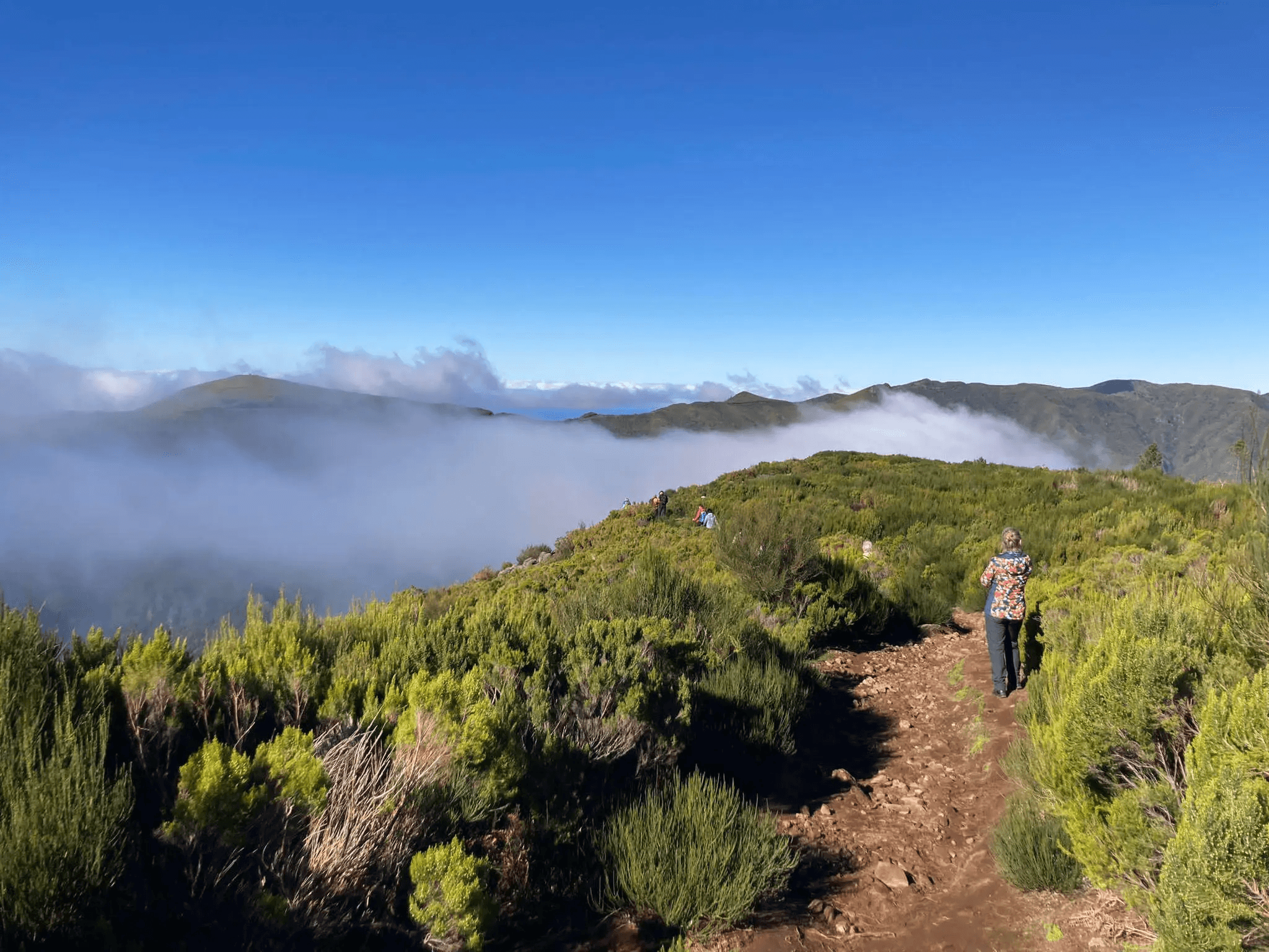 The Mystical Hike - photo 2
