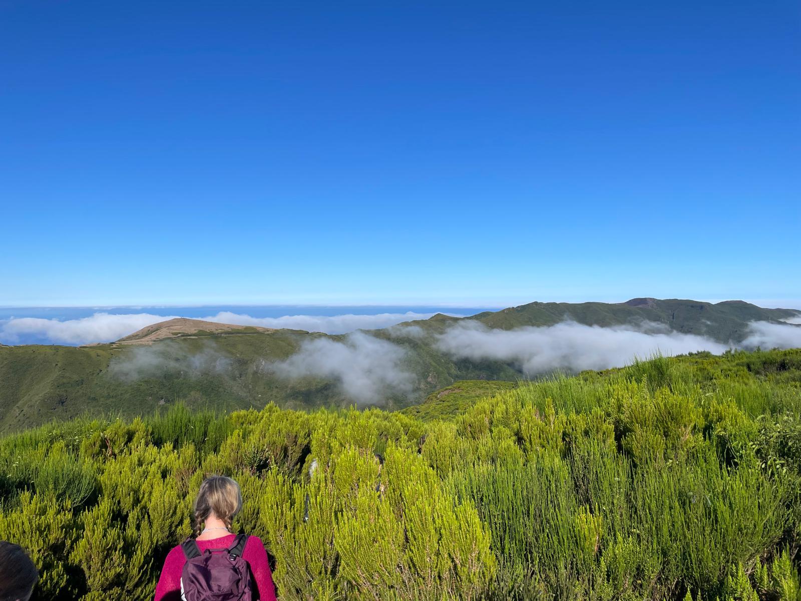 The Mystical Hike - photo 3