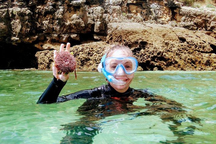 Arrábida Snorkeling & Wine - photo 3