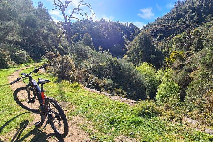 Levada da Camacha Trail by E-Bike - cover photo