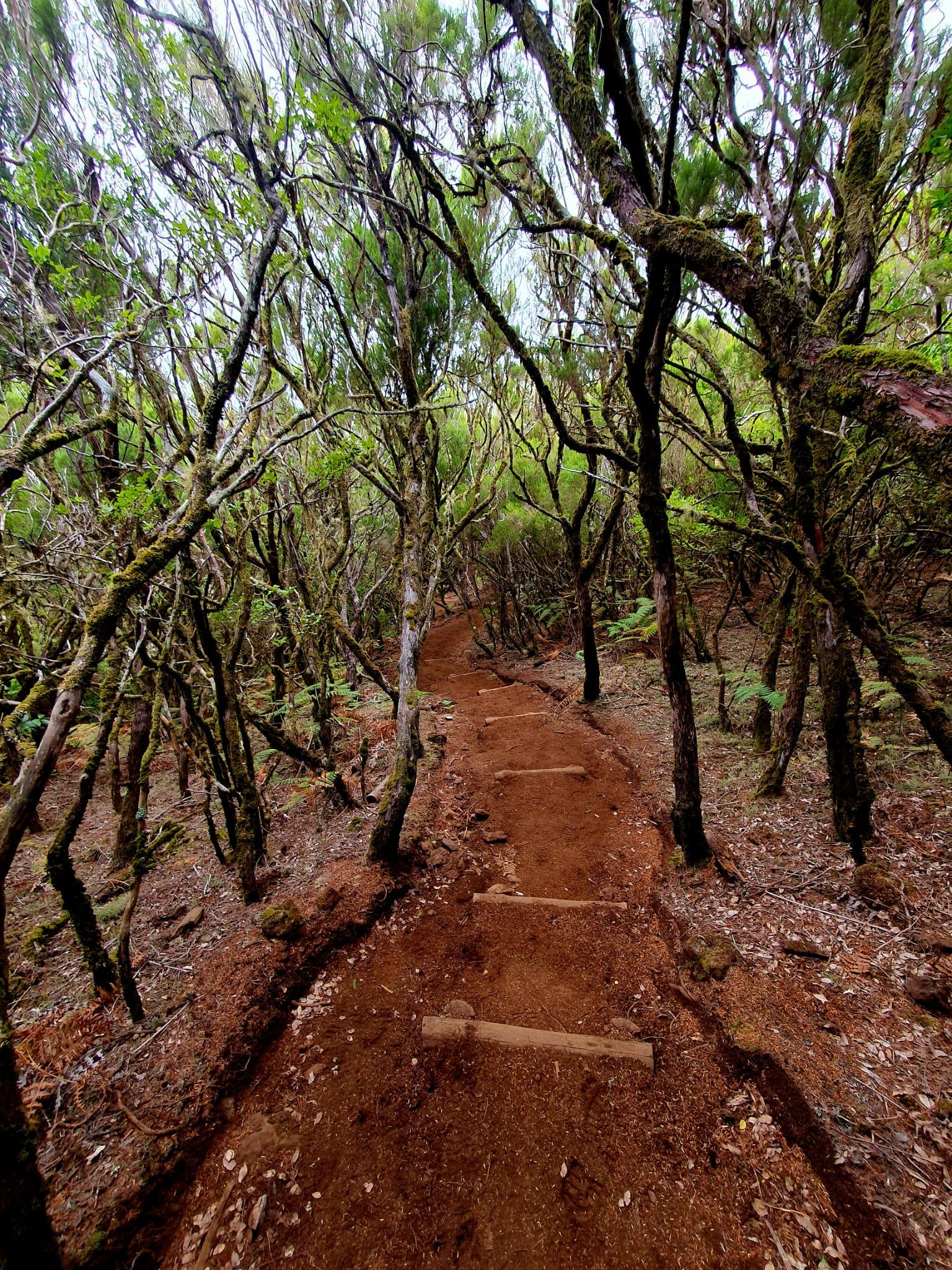 The Mystical Hike - photo 5