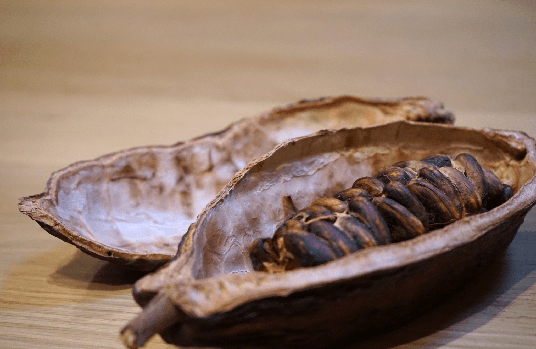 The Turin Chocolate Class & Tasting - photo 2
