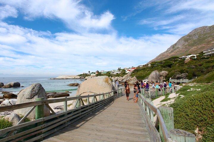 Table Mountain Boulder's Beach and Cape Point - photo 3