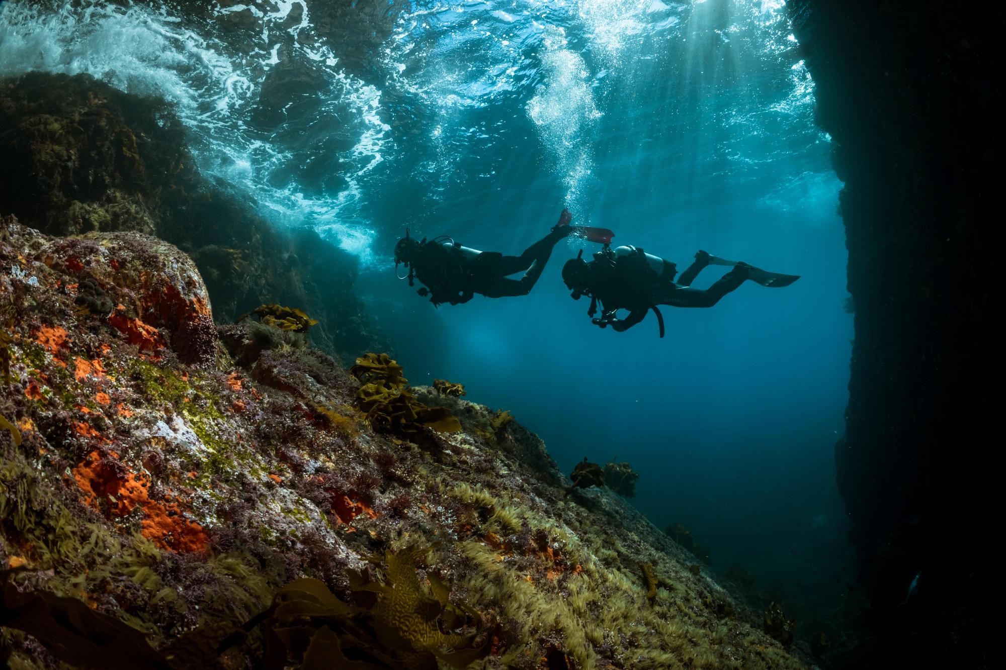 PADI Advanced Course (5 dives) - photo 3