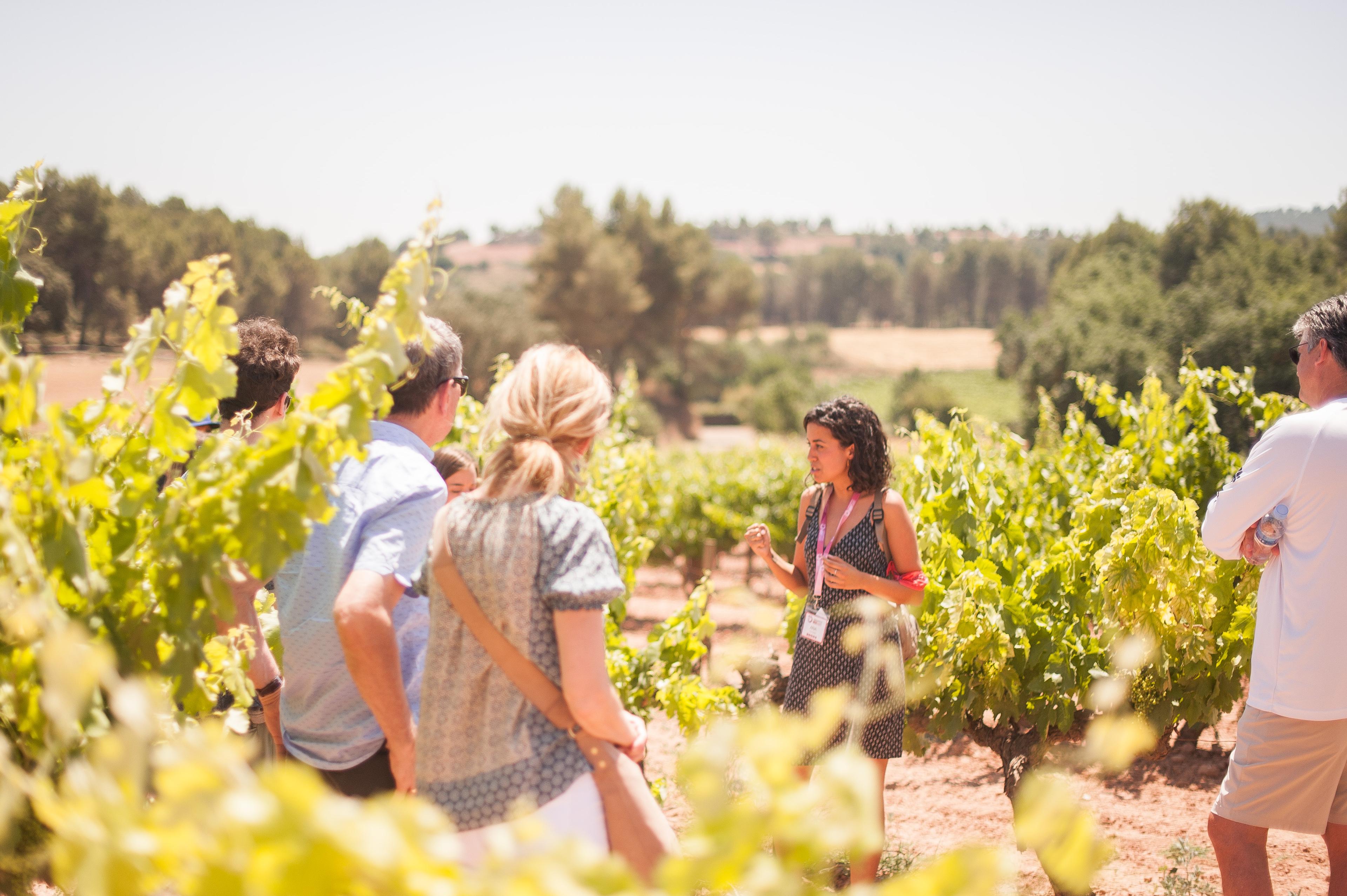 Montserrat, Tapas & Wine - cover photo