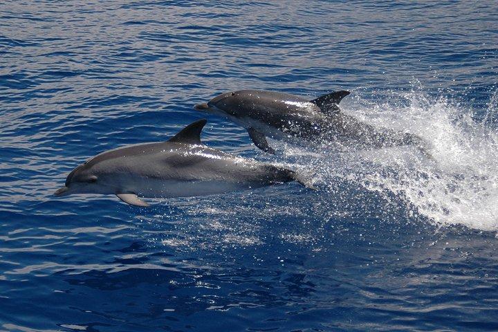 Seaborn Catamaran trips - photo 5