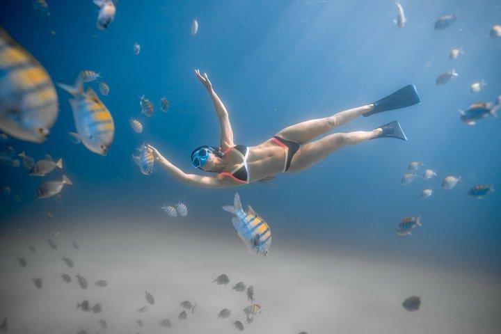 Los Cabos Snorkeling Tour to Chileno Bay and Santa Maria Cove - photo 2