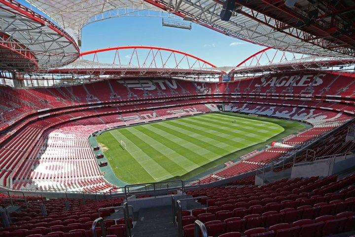 Benfica Stadium and Museum Private Tour - cover photo