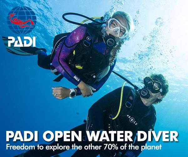 PADI Open Water Course - photo 2