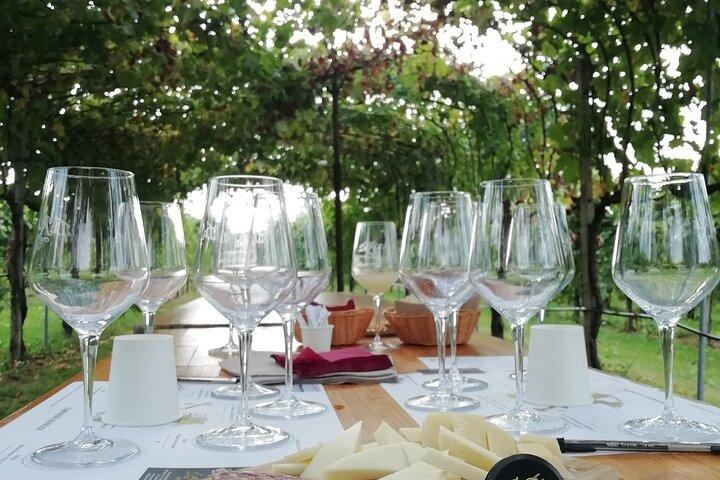 Wine tour & tasting - Prosecco Experience - photo 4