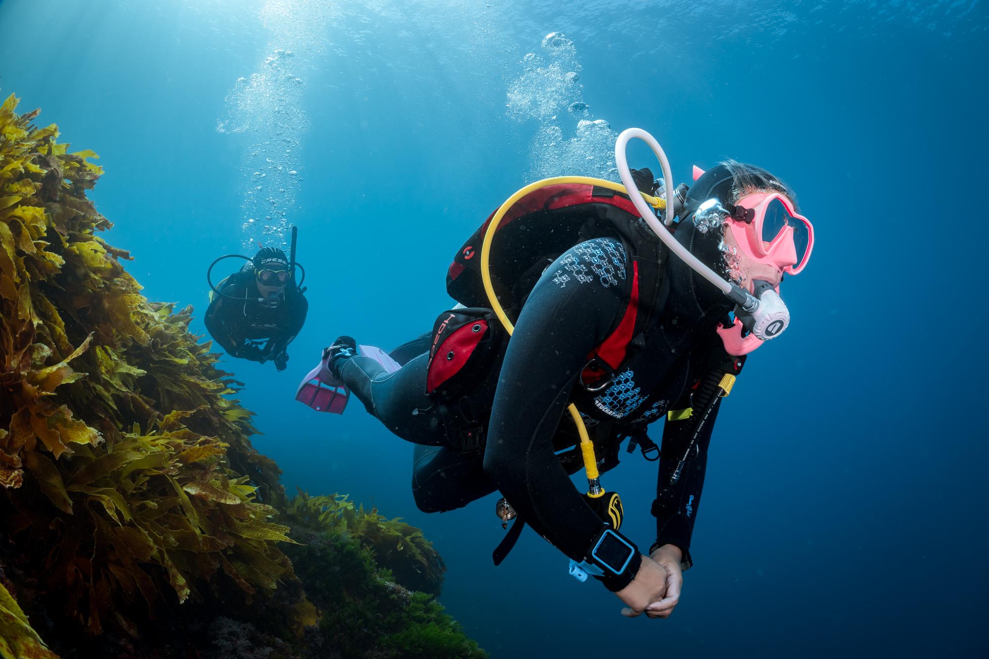 PADI Advanced Course (5 dives) - photo 4