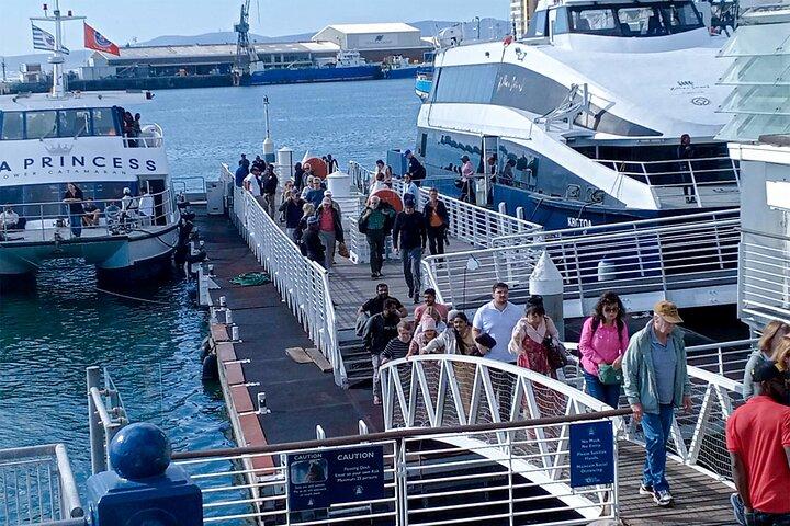 Robben Island and Table Mountain Pre Booked Tickets - photo 5
