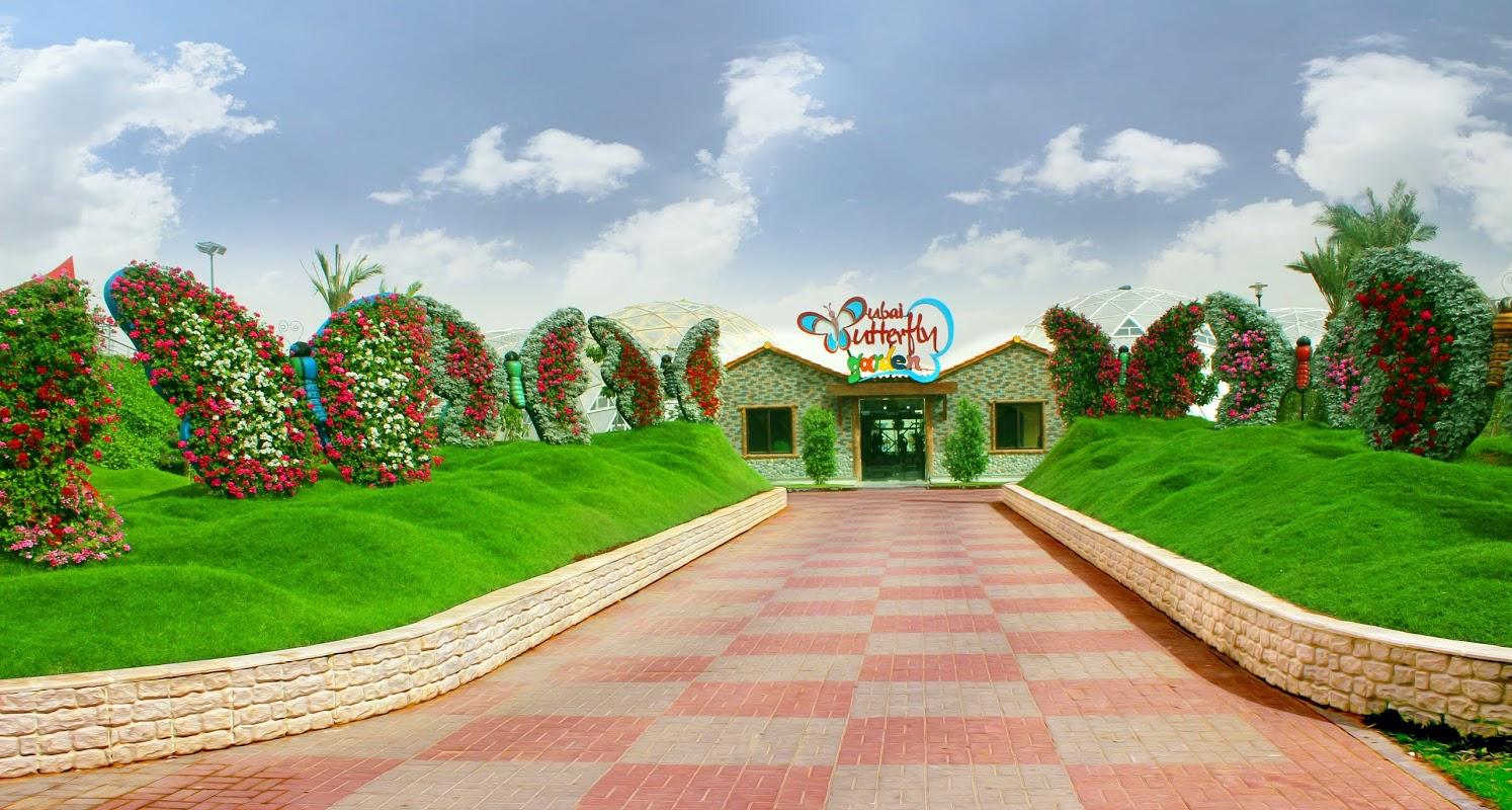 Dubai Butterfly Garden Tickets - photo 2