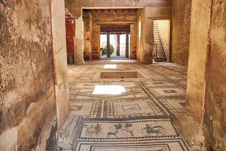 Pompeii Ruins & Wine Tasting with Lunch on Vesuvius with Private Transfer - photo 4