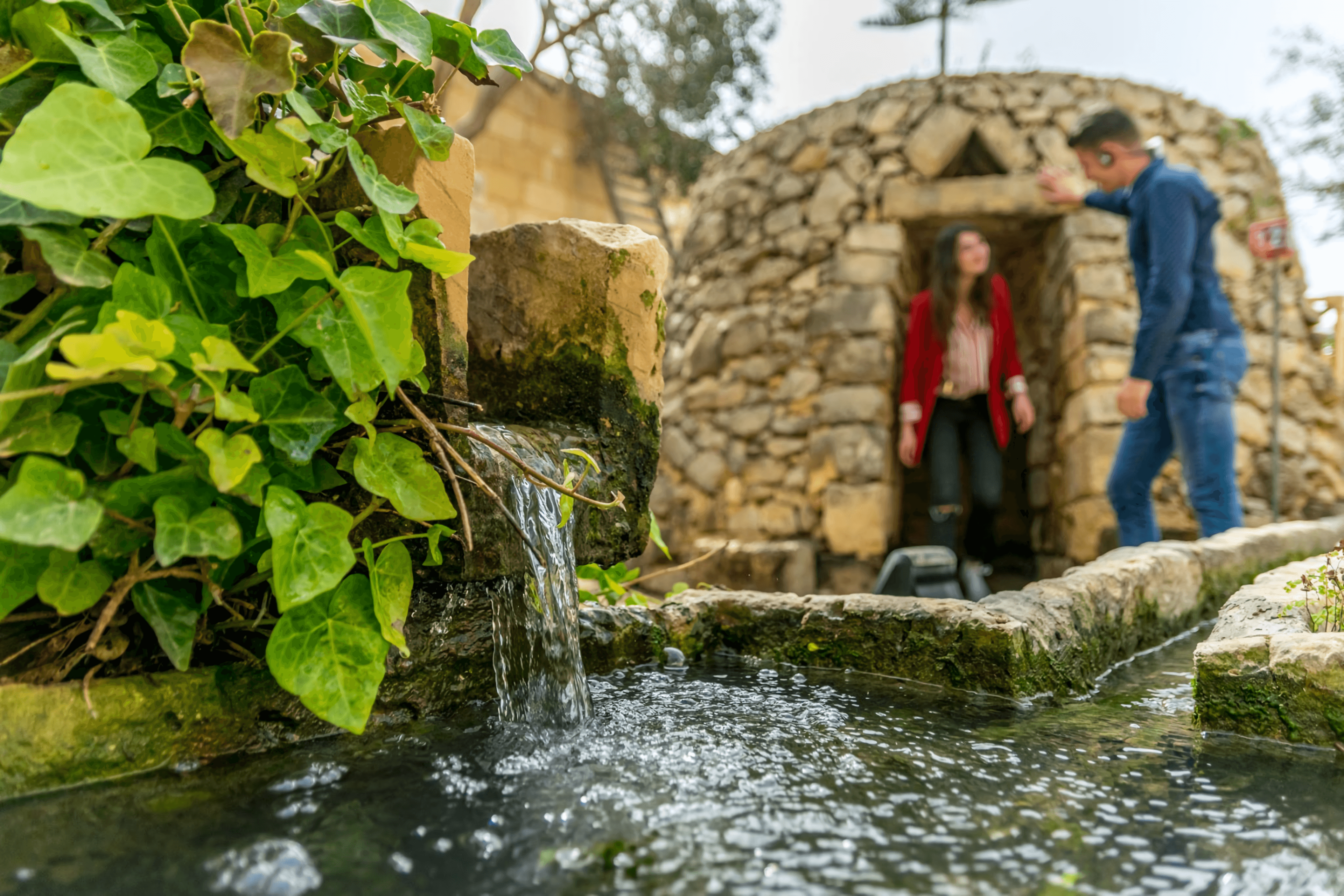 The Limestone Heritage Park & Gardens (Entry Ticket) - photo 2