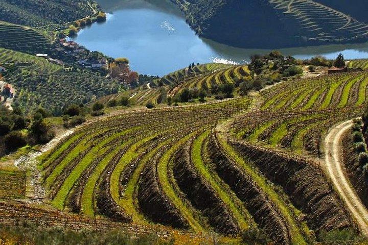 Douro Valley Private Wine Tour From Lisbon - photo 3