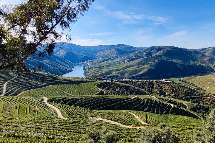 Signature Moment in Pinhão : Private Guide, Wine Tasting & Cruise - cover photo
